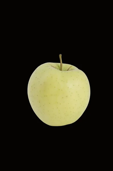 Яблоко. — стоковое фото
