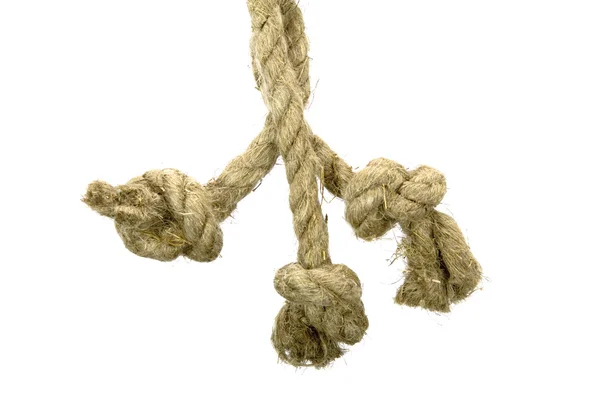 Variantes da corda com nó — Fotografia de Stock