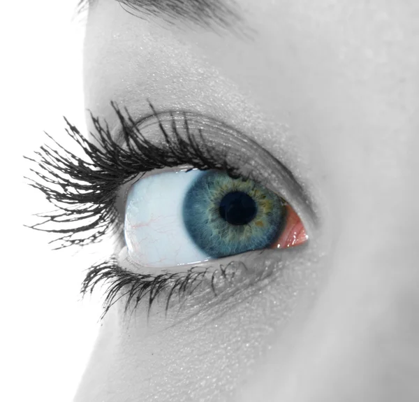 Μπλε μάτια σε λευκό — Φωτογραφία Αρχείου