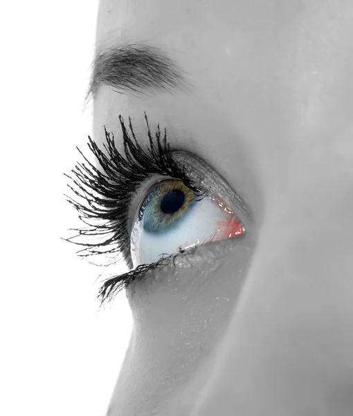 Occhi azzurri su bianco — Foto Stock