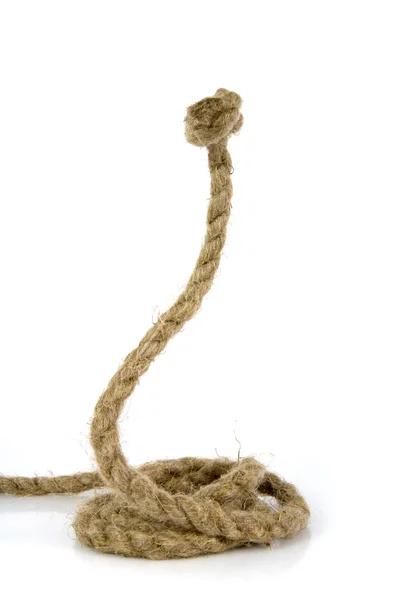 Serpiente de la cuerda en blanco — Foto de Stock