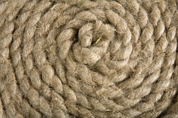 stock image Variants of the rope with node on white