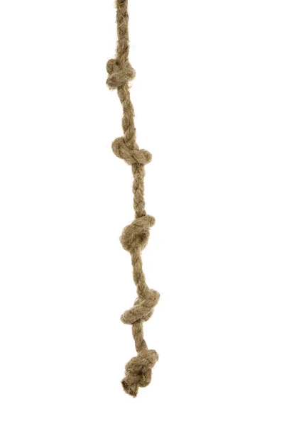 ホワイト上のノードとロープの亜種 — ストック写真