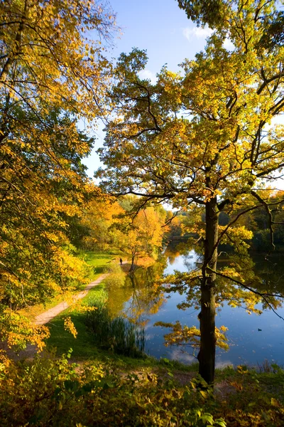 湖の秋景色 — ストック写真