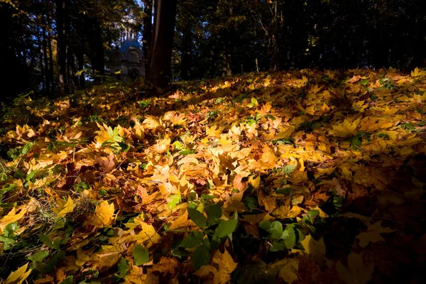 Vernici di autunno — Foto Stock