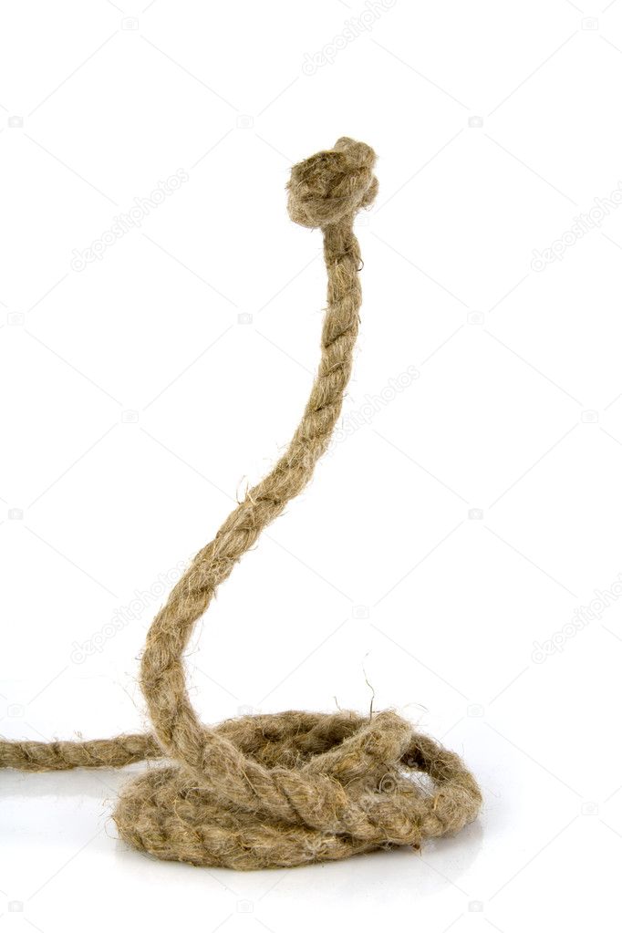 Snake from rope on white