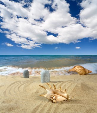 Landscape with seashell on sky