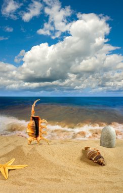 Landscape with seashell on sky