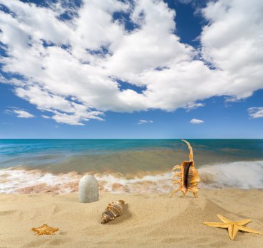 Landscape with seashell on sky