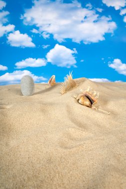 Landscape with seashell on sky