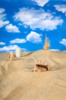 Landscape with seashell on sky