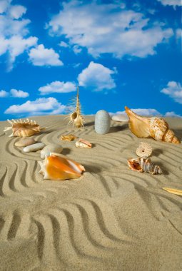 Landscape with seashell on sky