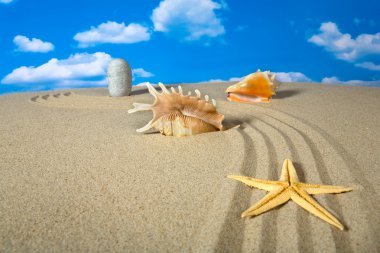 Landscape with seashell on sky