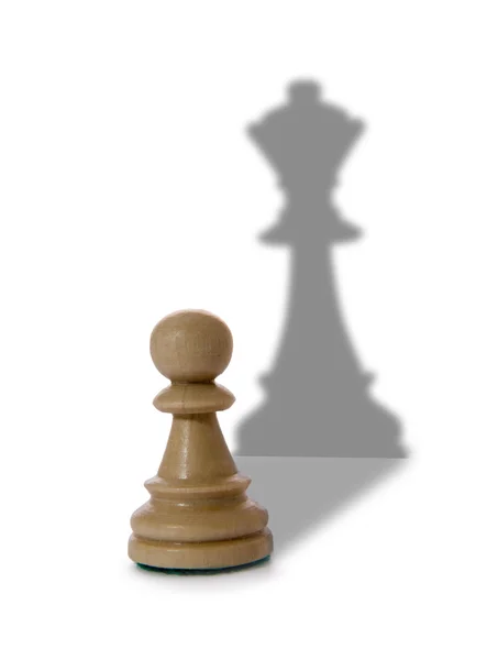Composición de ajedrez con dama — Foto de Stock