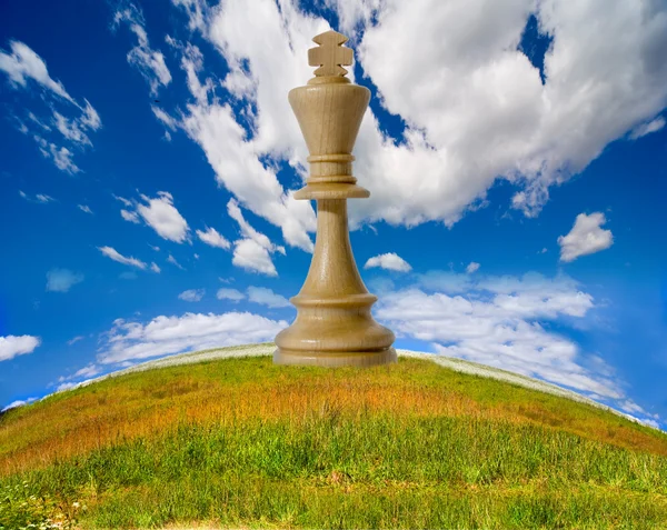 Chess composition on nature — Stock Photo, Image