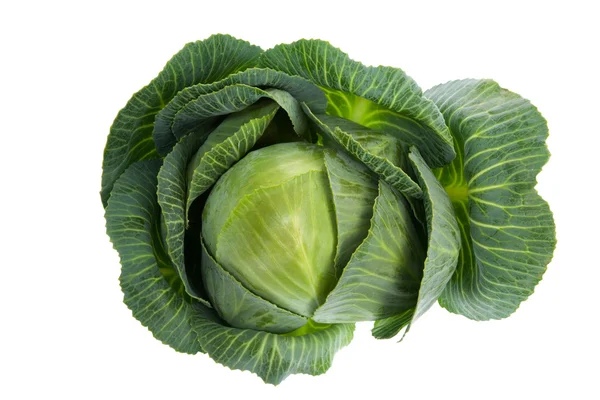 stock image Cabbage isolated on white