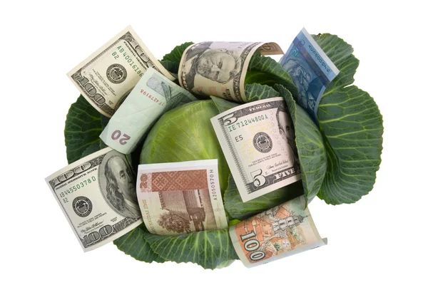 Χρήματα που βρίσκεται στο πράσινο λάχανο σε λευκό — Φωτογραφία Αρχείου