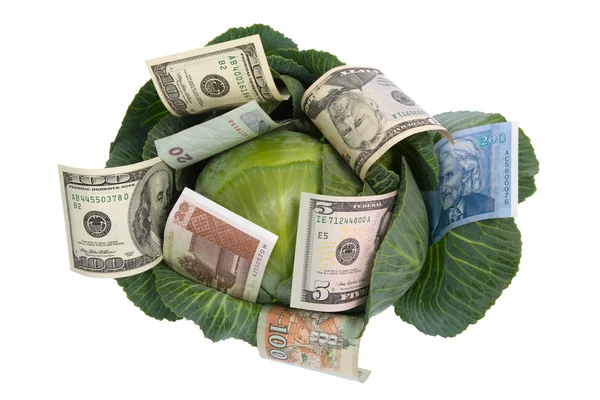 Деньги расположены на зеленой капусте на белом — стоковое фото