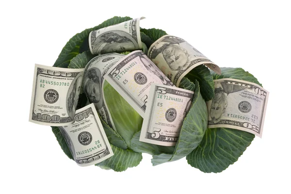Położony na zielonej kapusty na białym tle pieniądze — Zdjęcie stockowe