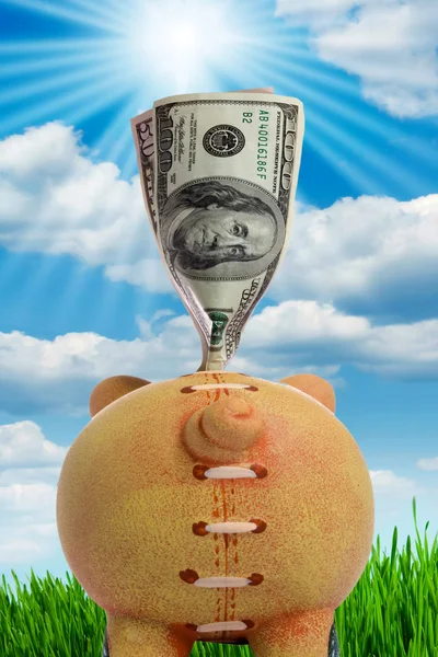 Piggy Bank - Financial Crisis — Stock Photo, Image