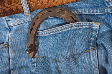 Horseshoe with jeans. clipart