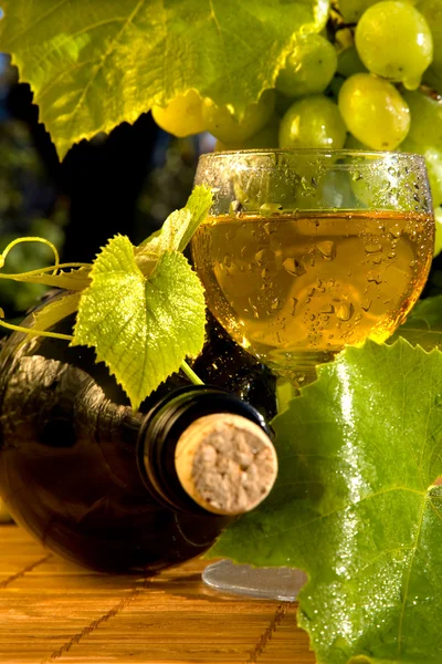 Concetto vino d'uva — Foto Stock