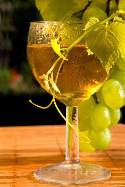 概念のブドウのワイン — ストック写真