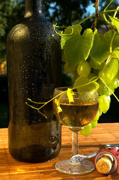 Concetto vino d'uva — Foto Stock