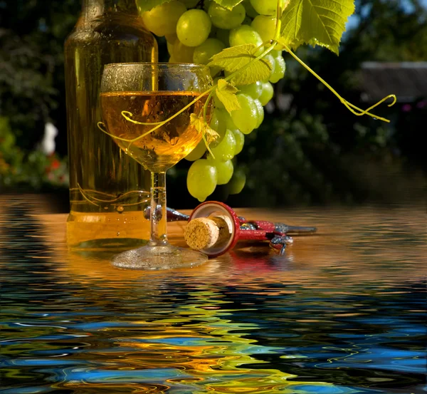 Pojęcie winogron wino — Zdjęcie stockowe