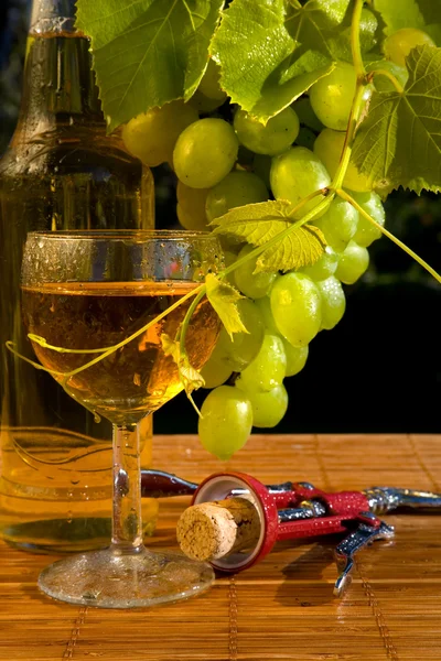 概念のブドウのワイン — ストック写真
