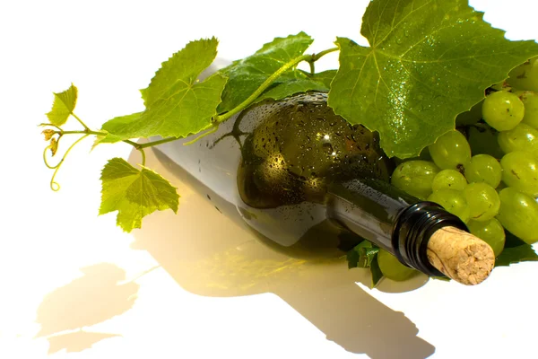 Botella de vino aislado en blanco — Foto de Stock