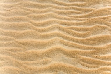 Beautiful sand background clipart