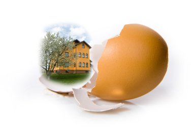 Shell egg on white clipart