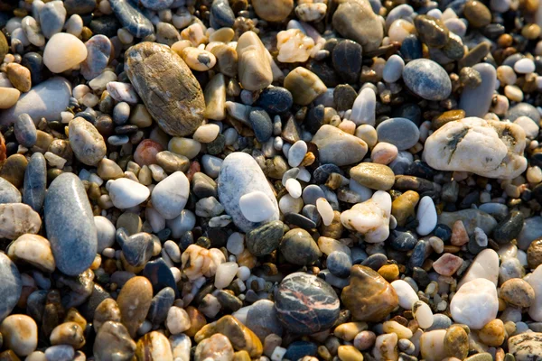 Kiezels op een strand — Stockfoto