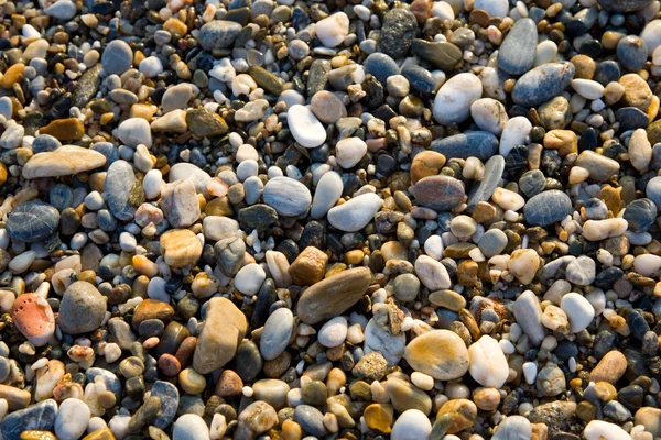 Kiezels op een strand — Stockfoto