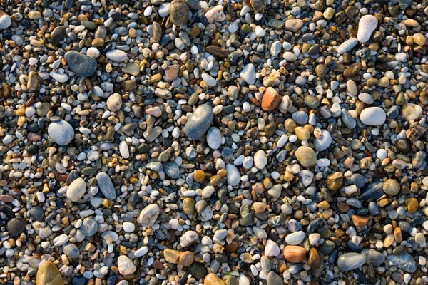 Kiezels op een strand — Stockfoto