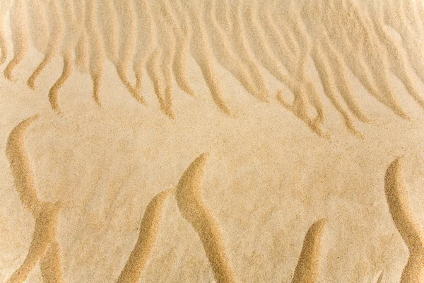 Gyönyörű homokos háttér — Stock Fotó
