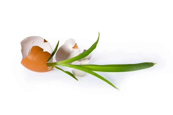 Conceptos huevo aislado sobre blanco — Foto de Stock