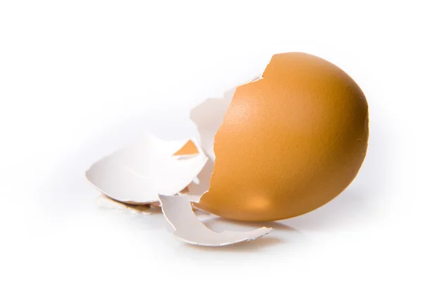Яйцо ракушки на белом — стоковое фото