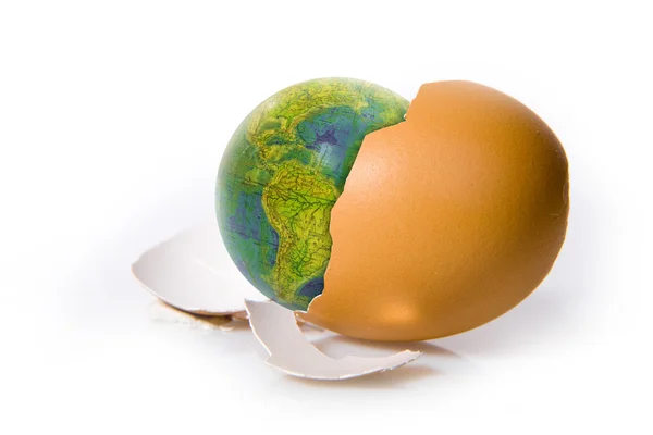 Shell vejce na bílém pozadí — Stock fotografie