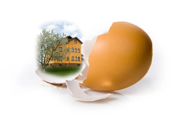 Shell egg on white — Stock Photo, Image