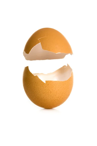 Яйцо скорлупы — стоковое фото