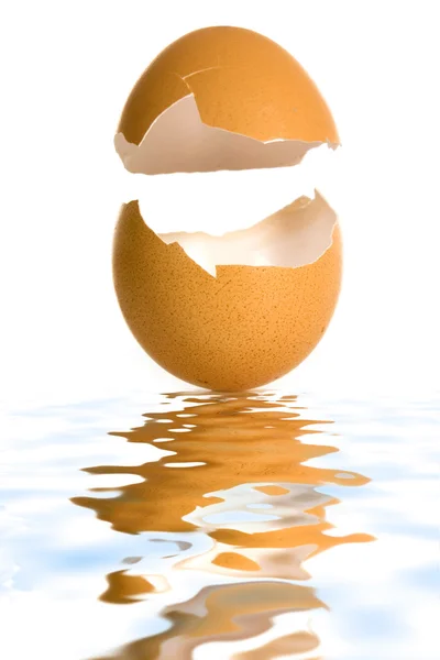 Оболонка яйце — стокове фото