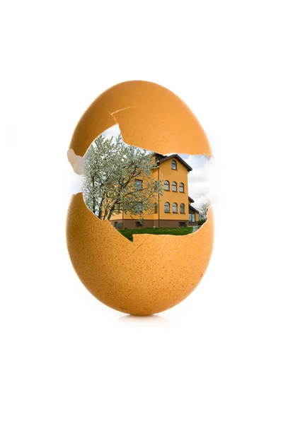 Ägg med skal och hus — Stockfoto