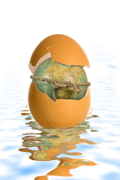 Shell egg and globe — Stock Photo, Image