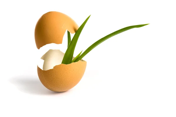 Concetti uovo isolato — Foto Stock