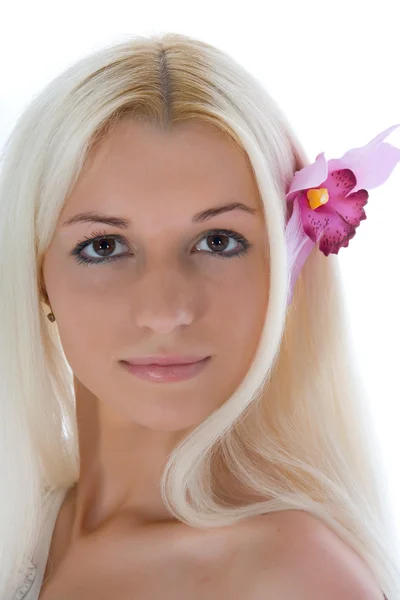 Portret van de mooie blonde — Stockfoto