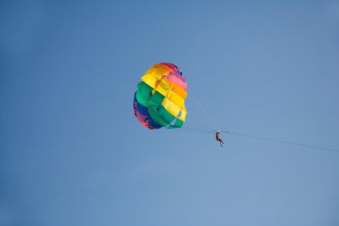 adam parasailing