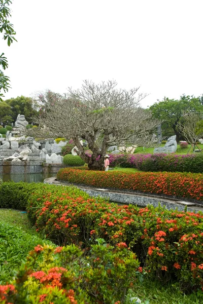 stock image The garden of stones in Thailand