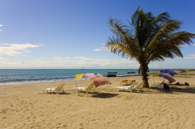 Kumsalda Adası margarita, venezuela